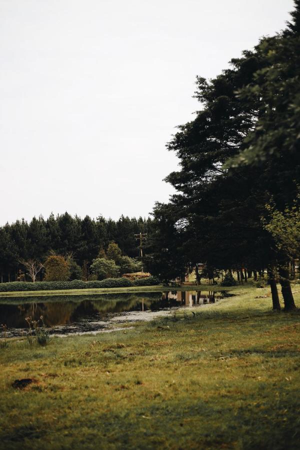 Pousada Recanto Do Lago Cambará 外观 照片